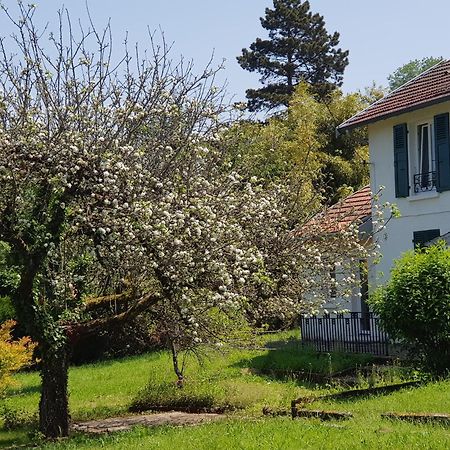 Appartement La Petite Sommiere à Besançon Extérieur photo