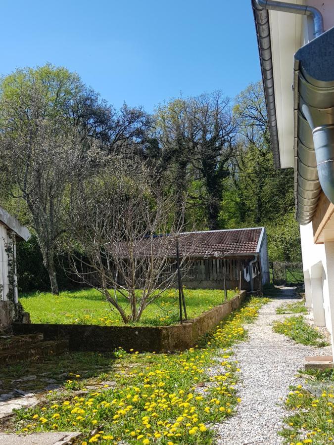 Appartement La Petite Sommiere à Besançon Extérieur photo