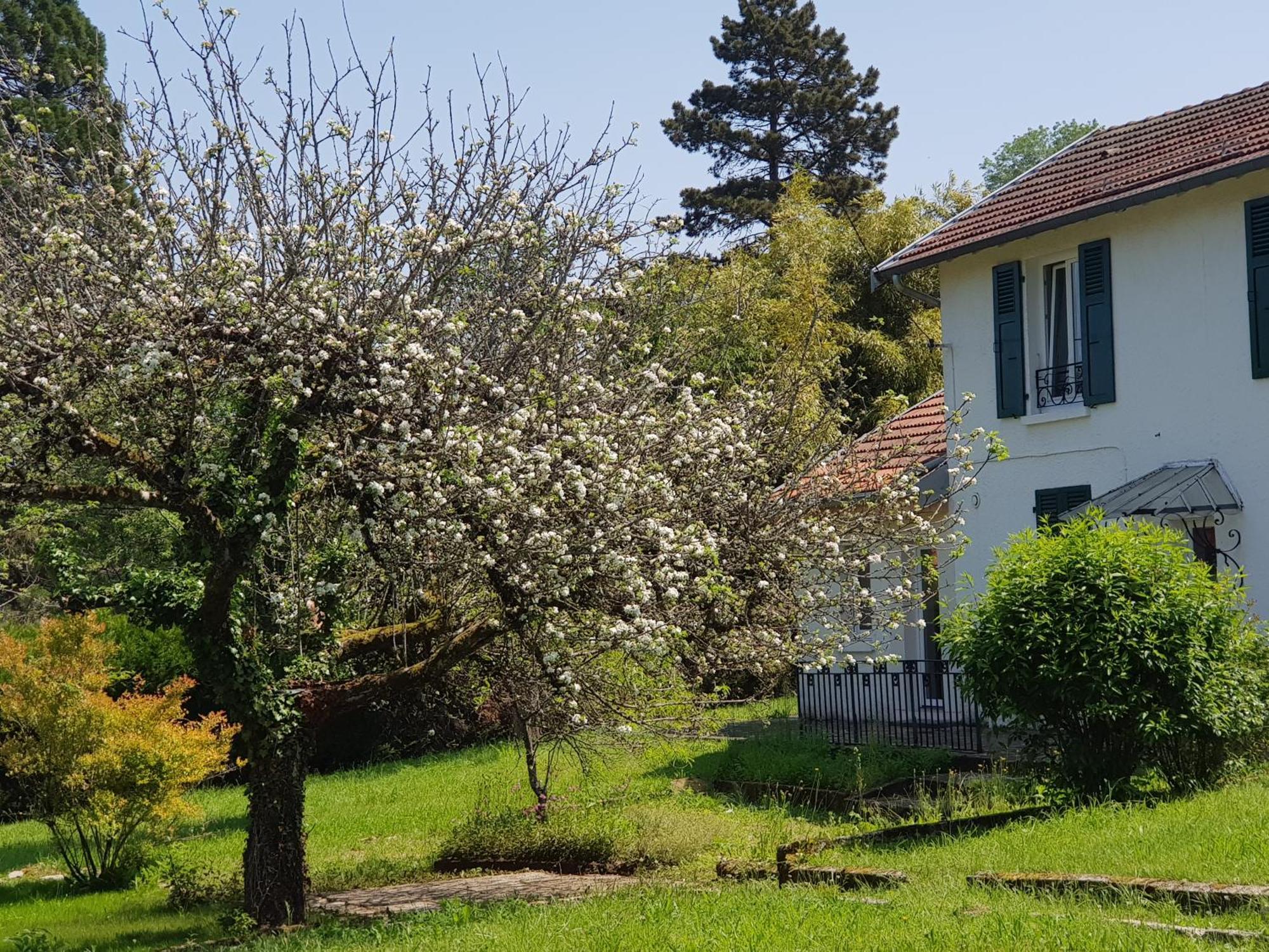 Appartement La Petite Sommiere à Besançon Extérieur photo